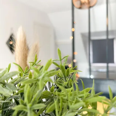 Le 12 Bis - Cosy Apartment Cherbourg-en-Cotentin