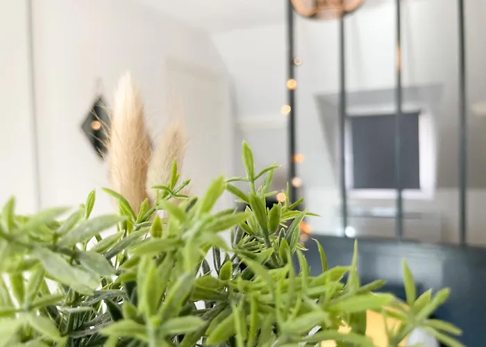 Le 12 Bis - Cosy Appartement Cherbourg-en-Cotentin