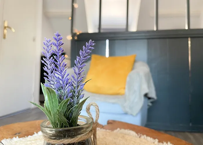 Le 12 Bis - Cosy Cherbourg-en-Cotentin